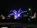 Toledo Zoo Lights 2008 038